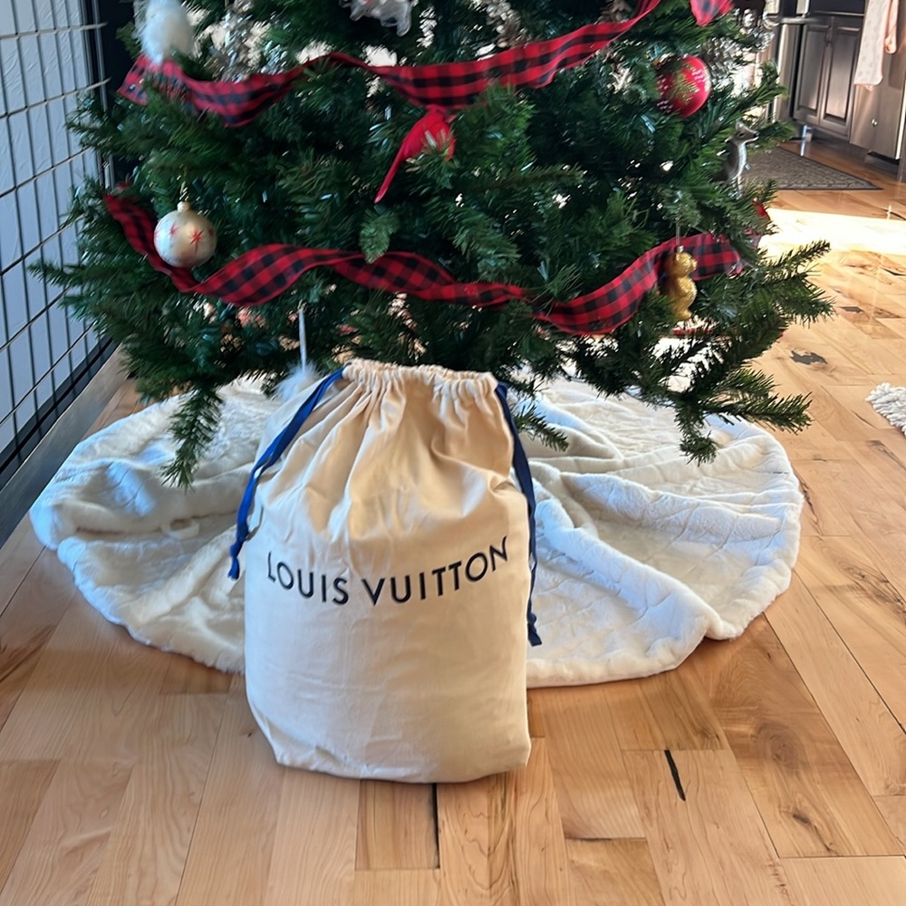 Louis Vuitton Beige Dust Bag - Picture 4 of 4